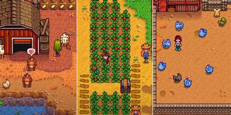 farming professions stardew|how to level farming stardew.